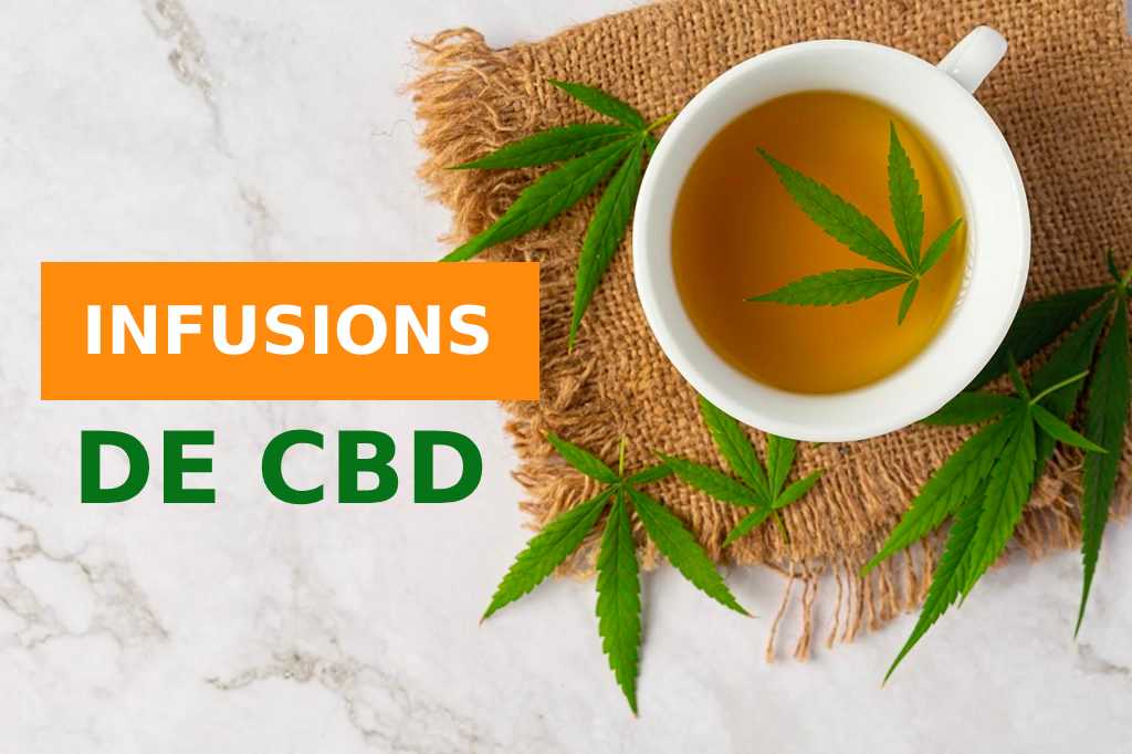 Une Tasse de Bien-être : Découvrez la Magie des Infusions de CBD aux Herbes